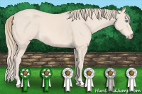 Horse Color:Perlino 