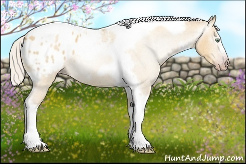 Horse Color:Gray Silver Amber Cream Champagne Roan Dun Splash Tobiano Frame Appaloosa Rabicano 