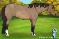 Horse Color:Gray Buckskin Roan 