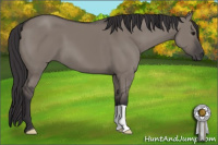 Horse Color:Smoky Grullo 