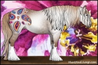 Horse Color:Gray Chestnut 