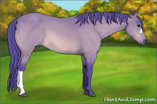 Horse Color: Watercolor Buckskin 