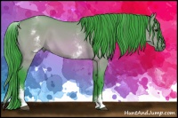 Horse Color:Watercolor White Spotted Buckskin Dun 