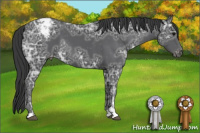 Horse Color:Black Ice Sabino Appaloosa 
