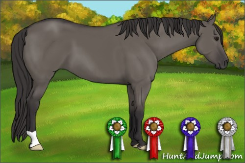 Horse Color: Smoky Grullo 
