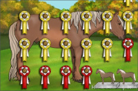 Horse Color:Liver Chestnut Mushroom Rabicano 