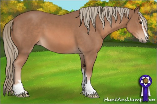 Horse Color: Chestnut Mushroom Sabino 