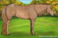 Horse Color:Liver Chestnut Mushroom Snowcap  Brindle