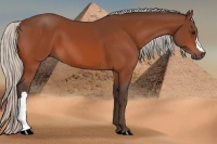 Horse Color:Silver Bay