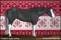 Horse Color:Black Splash 