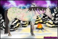 Horse Color:Amber Champagne Dun 