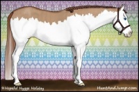 Horse Color:Red Dun Splash  Brindle