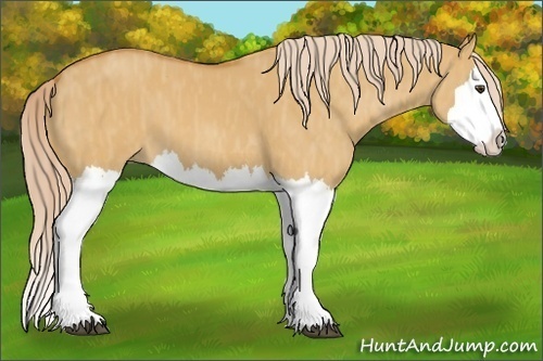 Horse Color:Palomino Dun Splash  Brindle