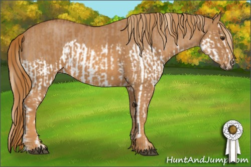 Horse Color: Red Dun Splash  Brindle