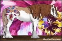 Horse Color:Red Dun Splash  Brindle