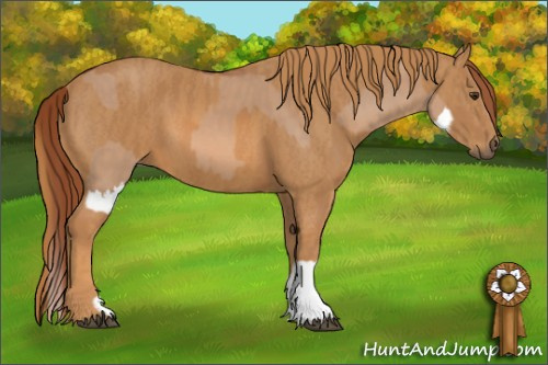 Horse Color: Red Dun Splash  Brindle