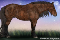 Horse Color:Bay Ice 