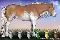 Horse Color:White Spotted Liver Chestnut Mushroom