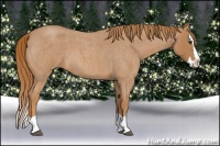 Horse Color:Red Roan Splash 