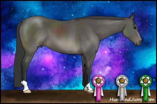 Horse Color: Black 