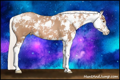 Horse Color: Silver Black Pearl Sabino 