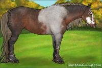 Horse Color:Liver Chestnut Sabino  Brindle