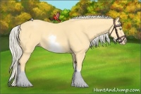 Horse Color:White Spotted Gold Cream Champagne 