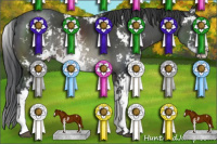 Horse Color:Black Sabino Rabicano