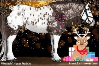 Horse Color:Liver Chestnut Splash Appaloosa 