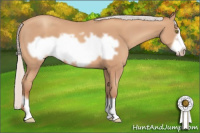 Horse Color:Silver Amber Champagne Frame 