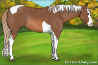 Horse Color:Chestnut Splash Tobiano Rabicano