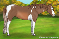 Horse Color:Chestnut Splash Tobiano