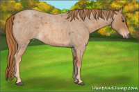 Horse Color:Red Roan