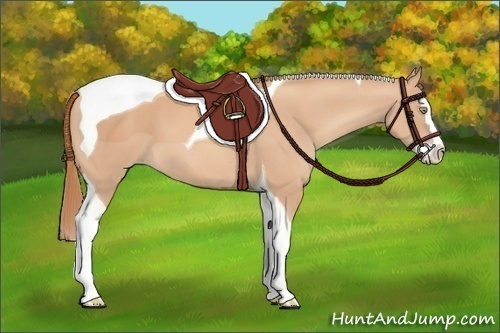 Horse Color:Gold Champagne Splash Tobiano 