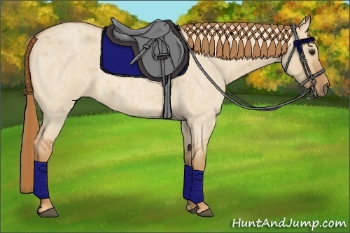 Horse Color:Red Dun Roan 