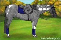 Horse Color:Blue Roan Tobiano 