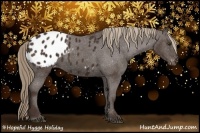 Horse Color:Liver Chestnut Appaloosa 