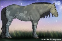 Horse Color:Black Ice 