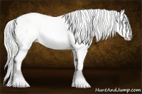 Horse Color:Cremello Dun 