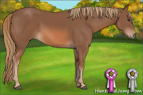 Horse Color: Chestnut 