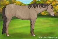 Horse Color:Classic Champagne 