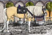 Horse Color:Palomino Splash 