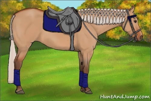 Horse Color:Unknown 