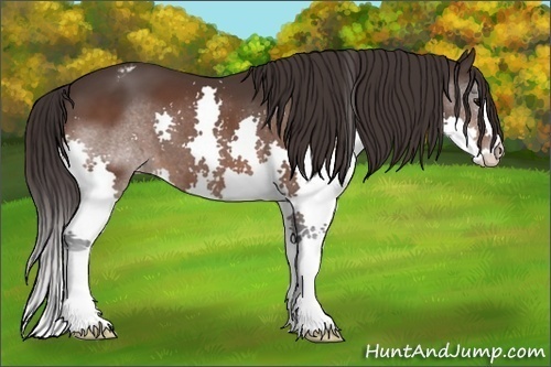 Horse Color: Brown Splash Varnish 