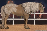 Horse Color:Chocolate Palomino Ice 