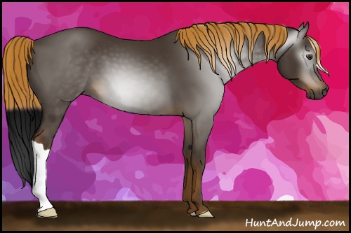 Horse Color:Gray Chocolate Palomino 