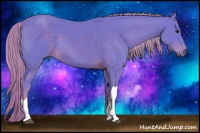 Horse Color:Watercolor Chocolate Palomino 