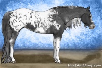 Horse Color:White Spotted Black Splash Tobiano Frame Blanket 
