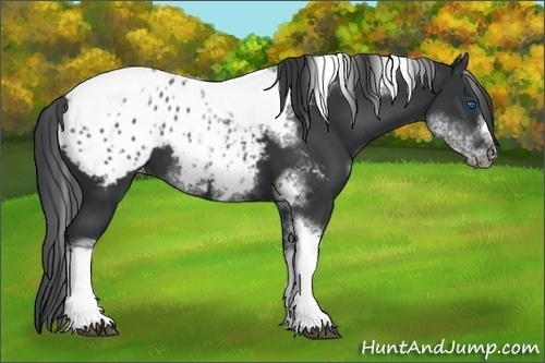 Horse Color:White Spotted Black Splash Tobiano Frame Blanket
