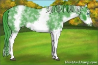 Horse Color:Watercolor White Spotted Blue Roan Splash Frame Blanket